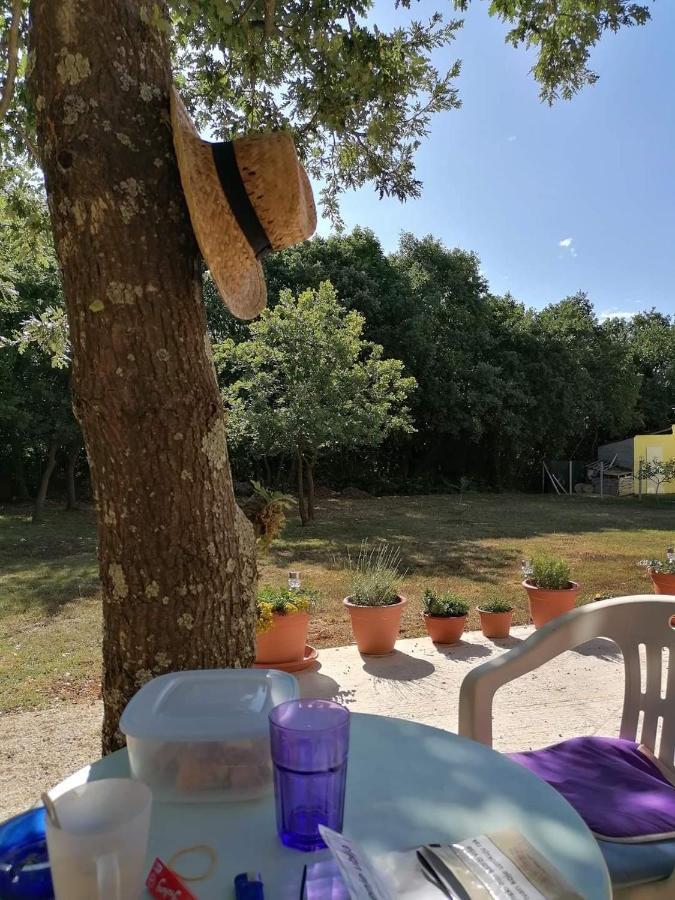 Tiny House Dora Villa Marcana Exterior photo
